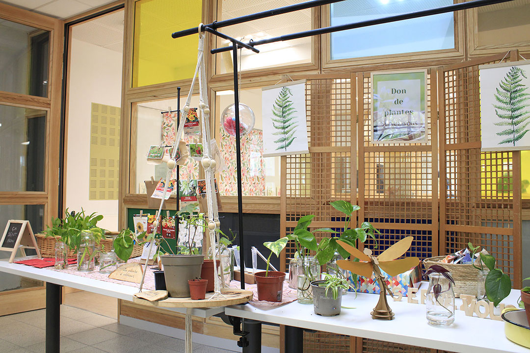 Stand de don de plantes durant la Fête des jardins