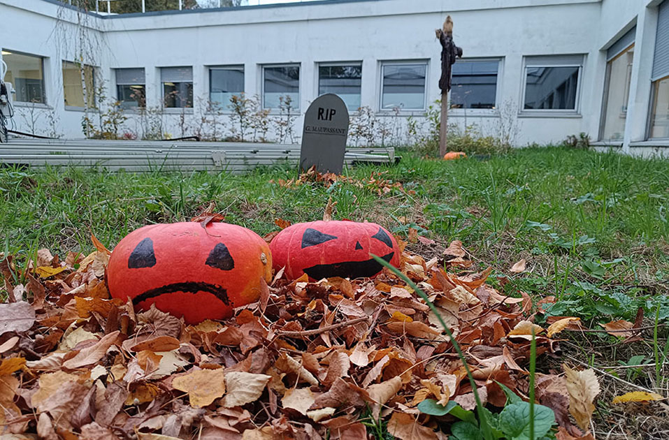Citrouilles grimaçantes dans l'un des patios de la BU du Mont Houy