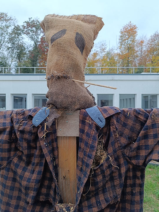 Épouvantail en chemise à carreaux dans l'un des patios de la BU du Mont Houy