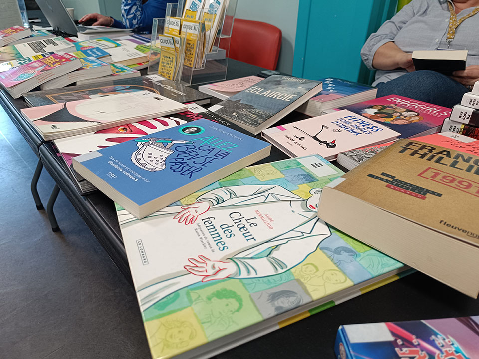 L'équipe de la BU avait amené avec elle de nombreux ouvrages, bandes-dessinées et jeux de société pour faire connaître les collections aux étudiants et étudiantes de l'IFMS
