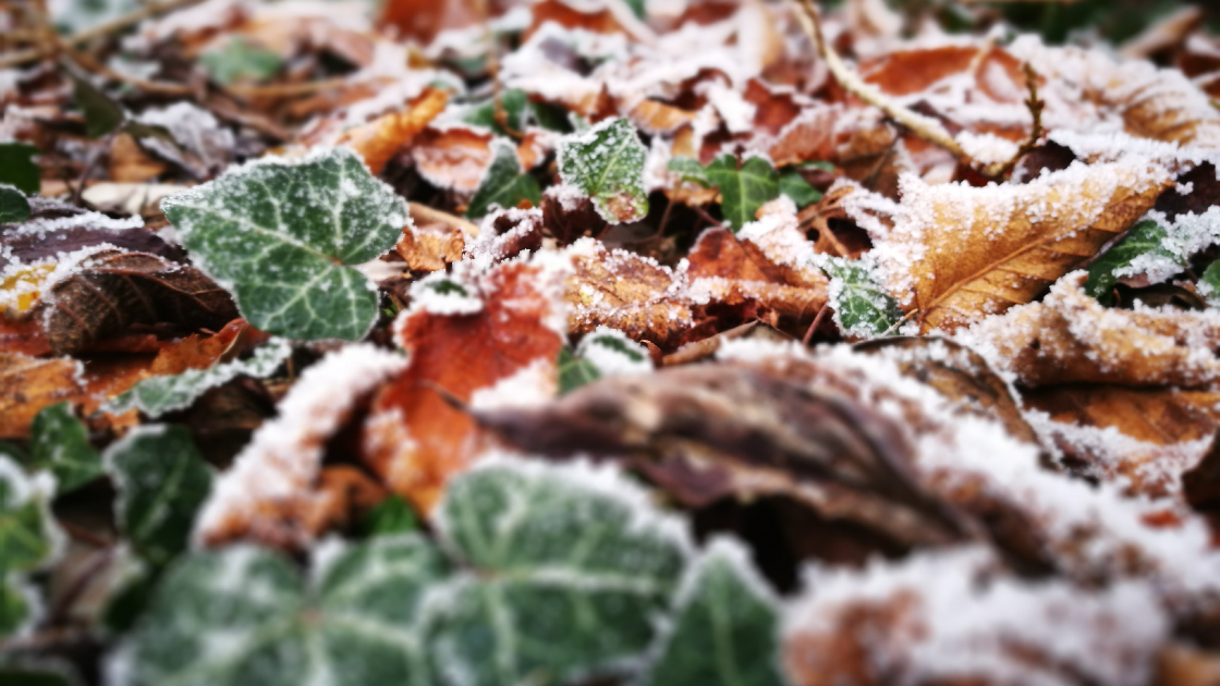 [Info] Fermeture de fin d'ann&eacute;e