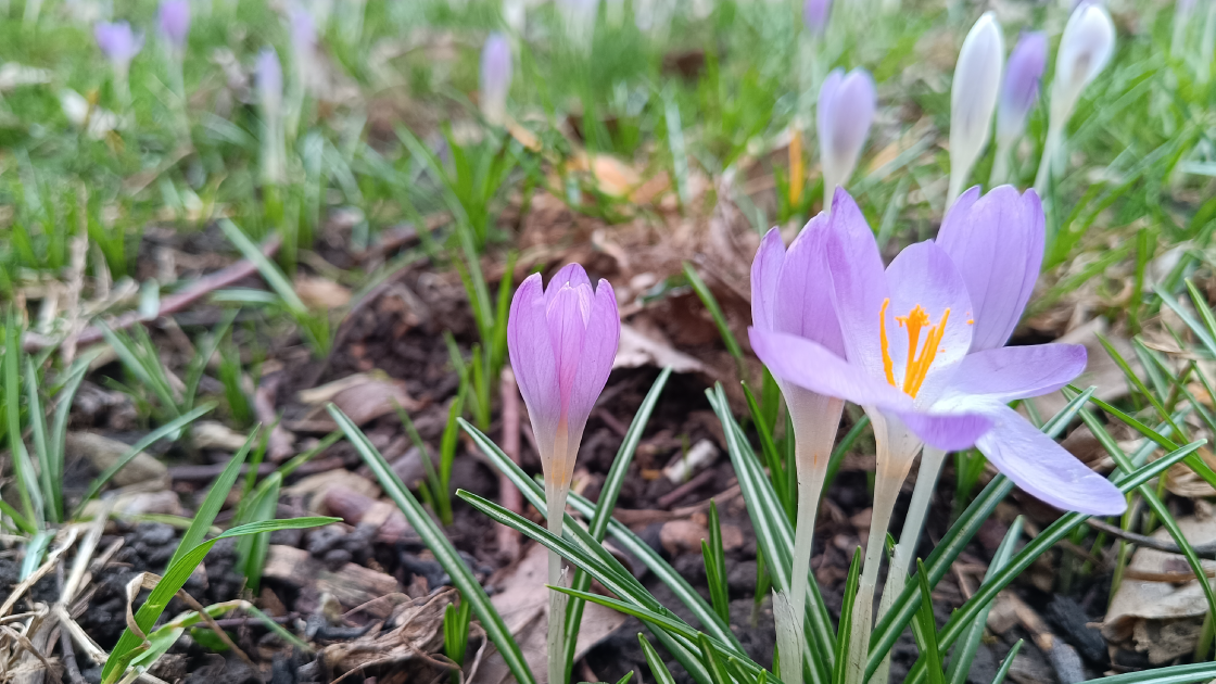 [Info] Pause p&eacute;dagogique : horaires des BU