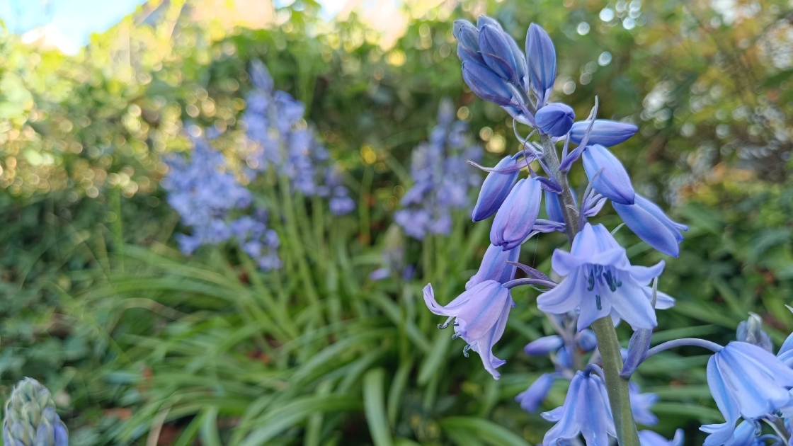 [Info] Pause p&eacute;dagogique : horaires des BU