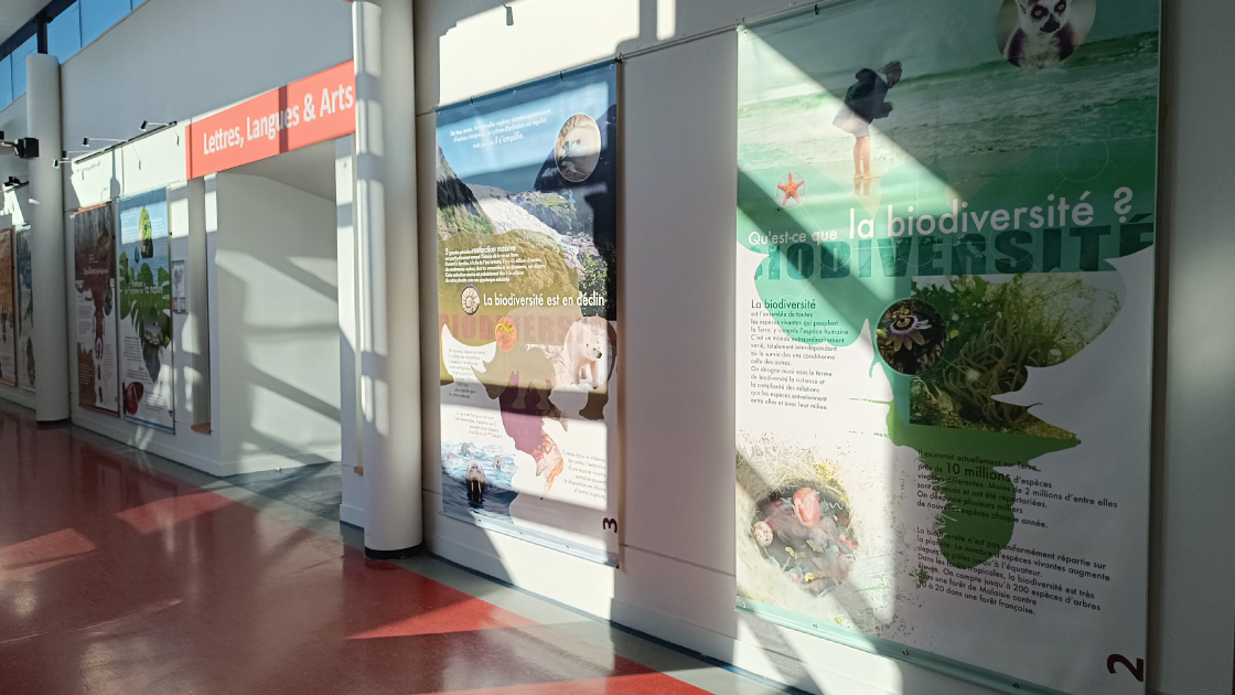 [Expo] Biodiversit&eacute; vitale et fragile