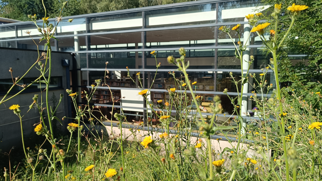 [Info] Horaires et fermetures d'&eacute;t&eacute; des BU